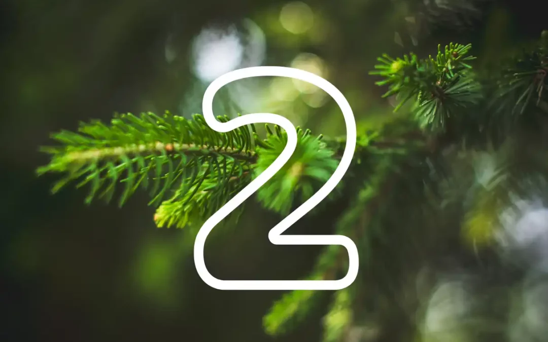 Photo de sapin avec le chiffre 2