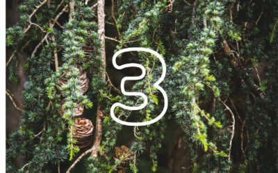 Calendrier du solstice 2025, jour 3