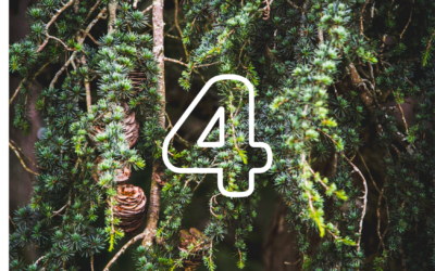 Calendrier du solstice 2025, jour 4