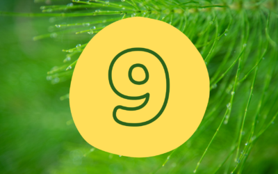 Calendrier du solstice – jour 9