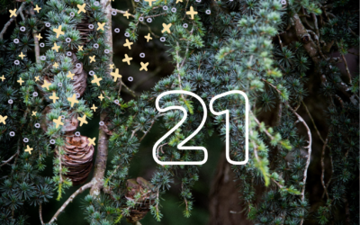 Calendrier du solstice – 21 décembre 2025